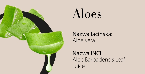 Aloes
